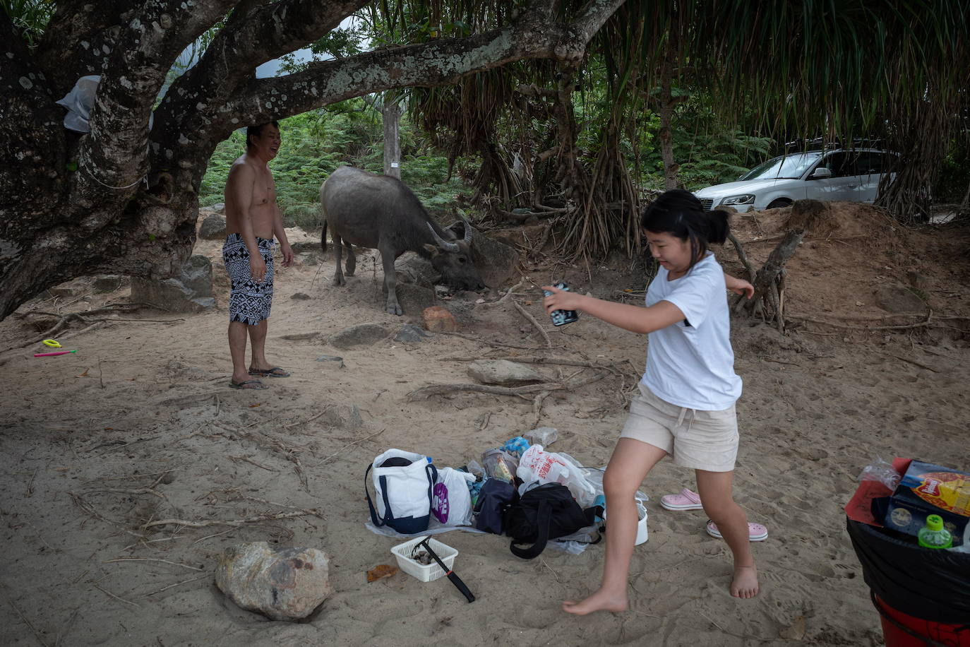 Fotos: Búfalos sin arroz