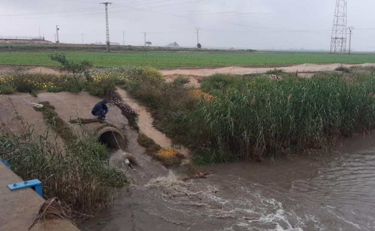 Un técnico de la Confederación Hidrográfica del Segura toma muestras de vertidos a la rambla de El Albujón, esta semana. 
