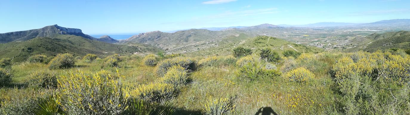 Fotos: Garduñas y flora africana en el octavo parque regional