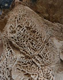 Imagen secundaria 2 - Abejaruco en el monte Arabí. | Pared conocida como El Cerebro. 