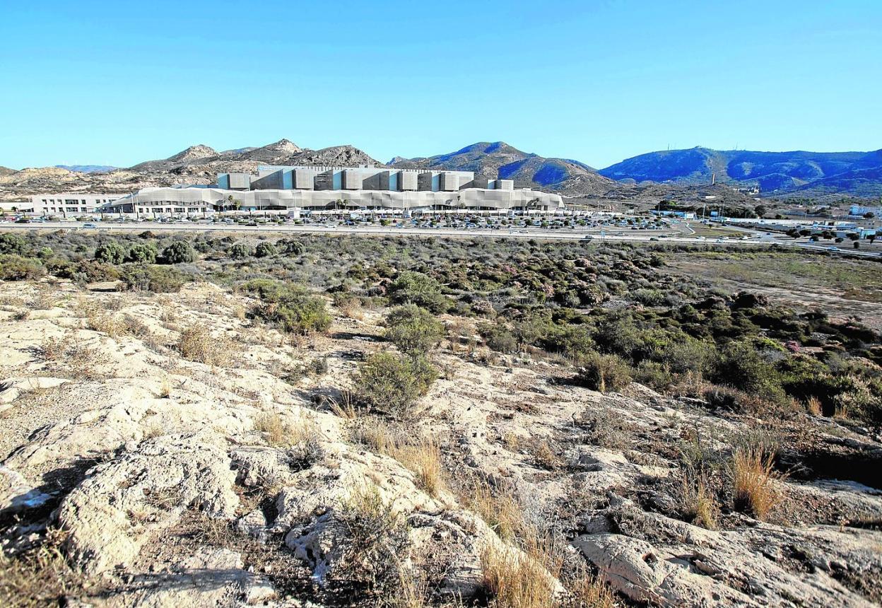 Terrenos ofrecidos por el Ayuntamiento para construir la Ciudad de la Justicia, frente al Hospital Santa Lucía. 
