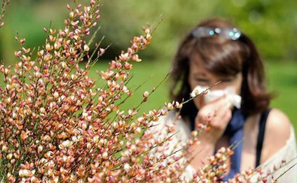 La Región es una de las comunidades con peor situación para los alérgicos por sus niveles máximos de polen