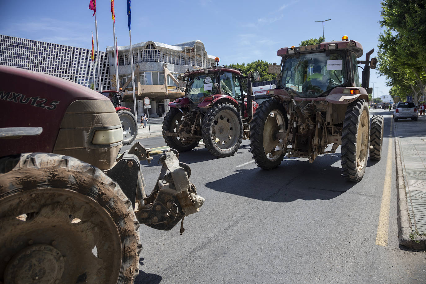 Fotos: Manifestación en defensa del Trasvase Tajo-Segura en Cartagena