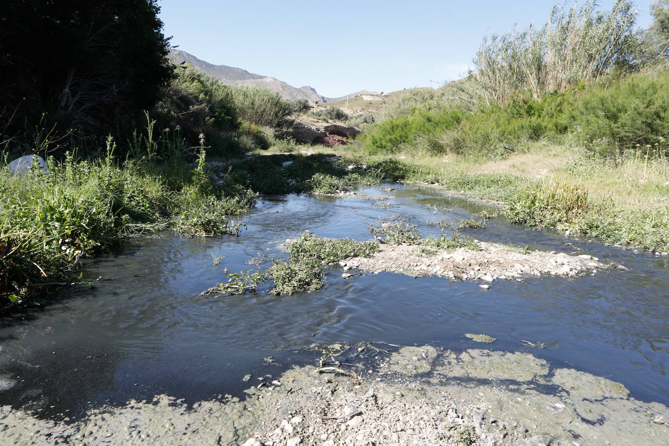 Fotos: El río Vélez, una cloaca a cielo abierto