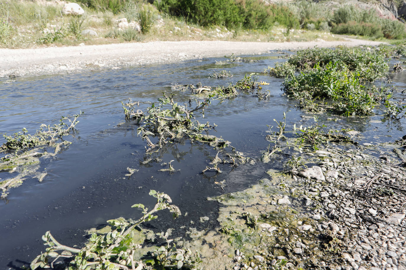 Fotos: El río Vélez, una cloaca a cielo abierto