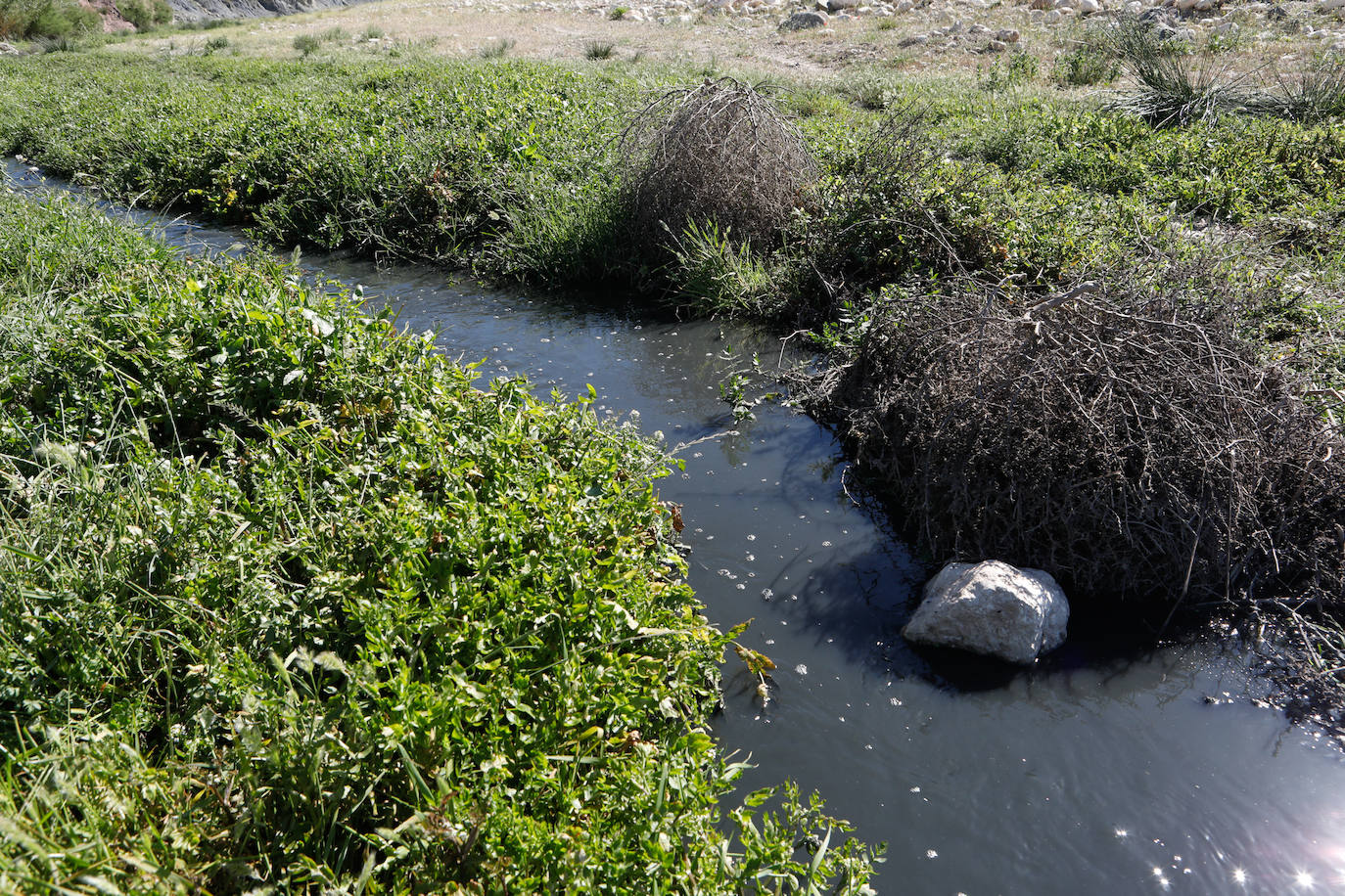 Fotos: El río Vélez, una cloaca a cielo abierto