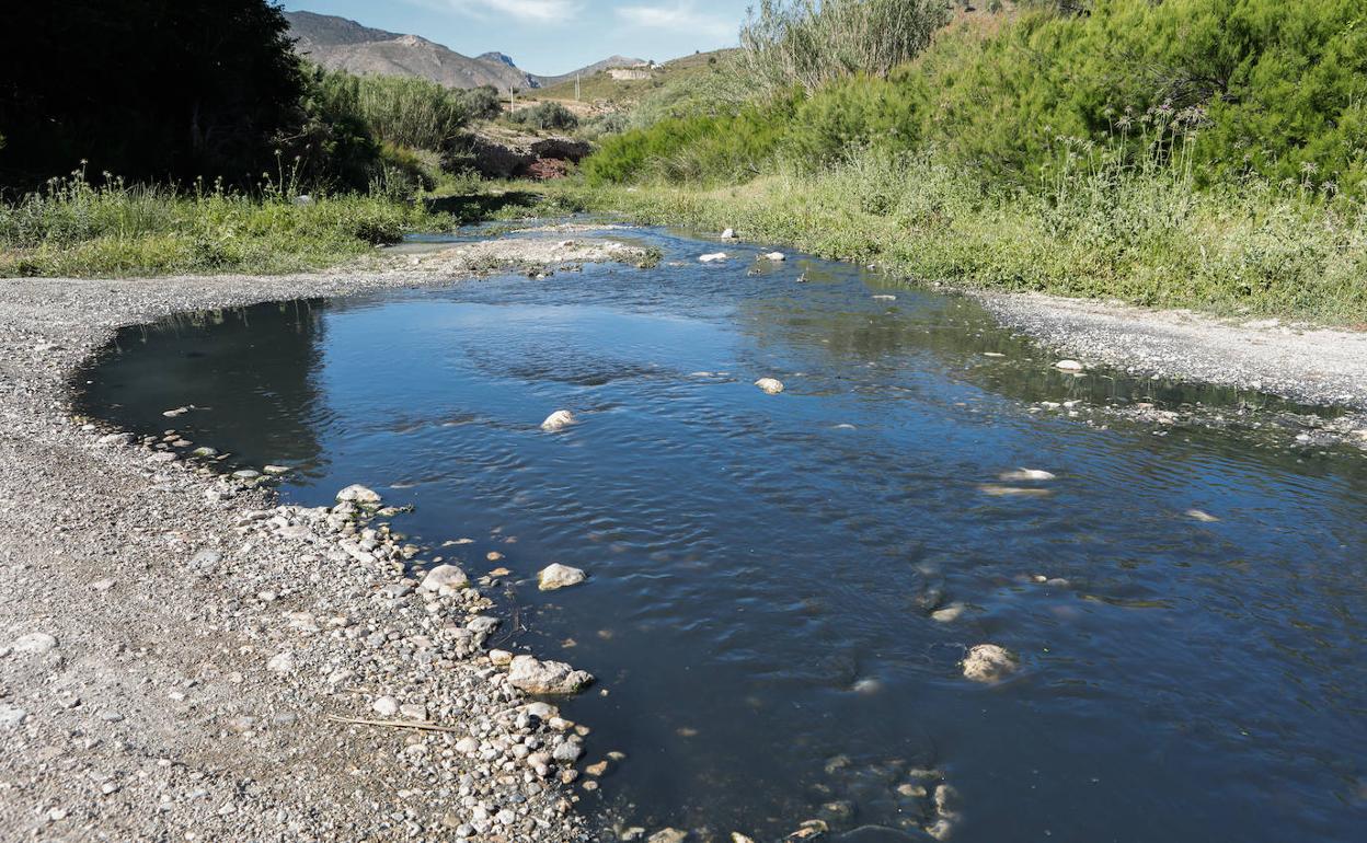 Aguas negras por vertidos fecales en el cauce del río Vélez en Fontanares (Lorca). La foto se hizo el pasado miércoles.