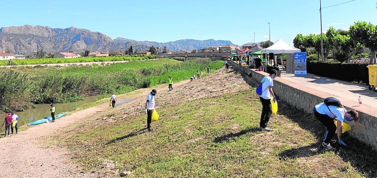 Voluntarios recogen residuos en la ribera del río Segura, a su paso por Beniel.