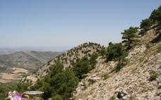 Cumbre de Revolcadores