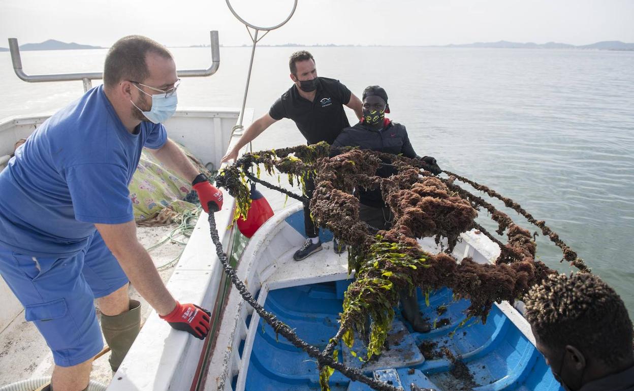 La Fundación Estrella de Levante limpia fondos en el Mar Menor.