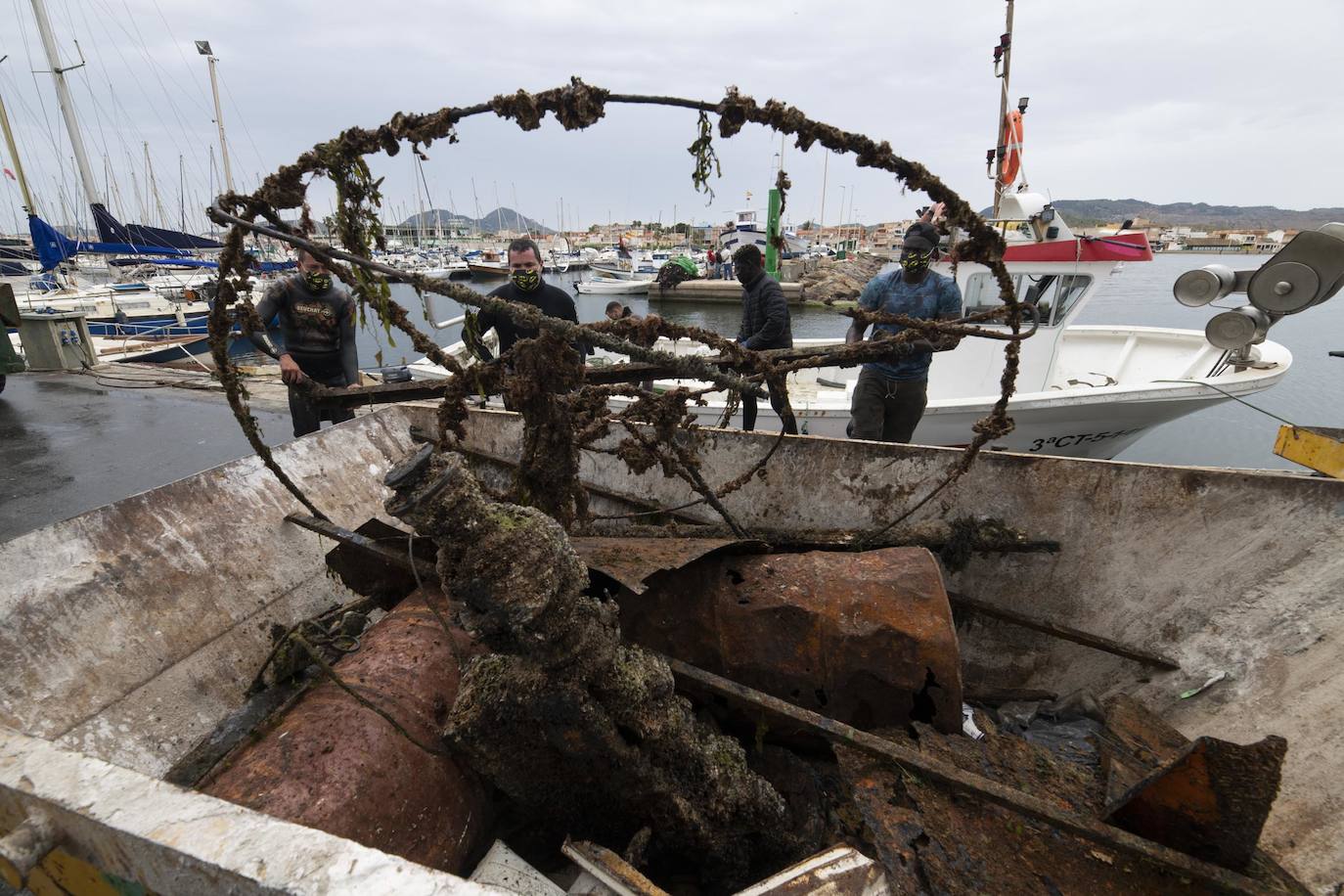 Fotos: Limpieza de residuos en el fondo del Mar Menor