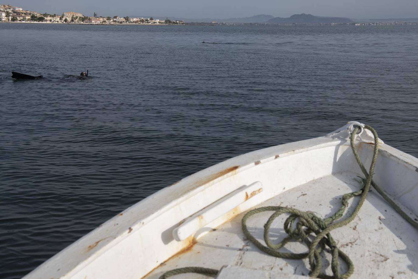 Fotos: Limpieza de residuos en el fondo del Mar Menor