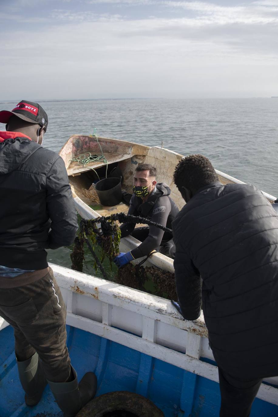 Fotos: Limpieza de residuos en el fondo del Mar Menor