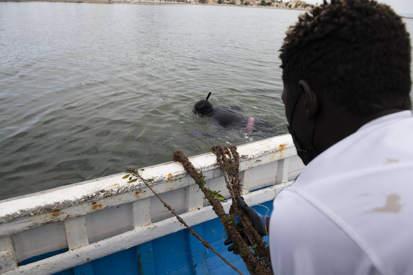 Fotos: Limpieza de residuos en el fondo del Mar Menor