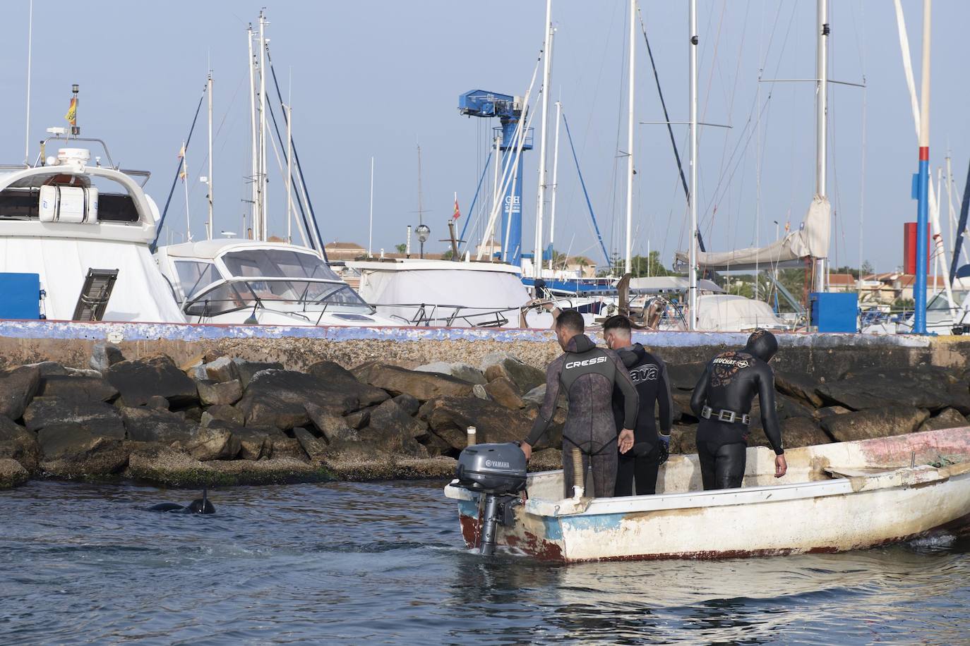 Fotos: Limpieza de residuos en el fondo del Mar Menor