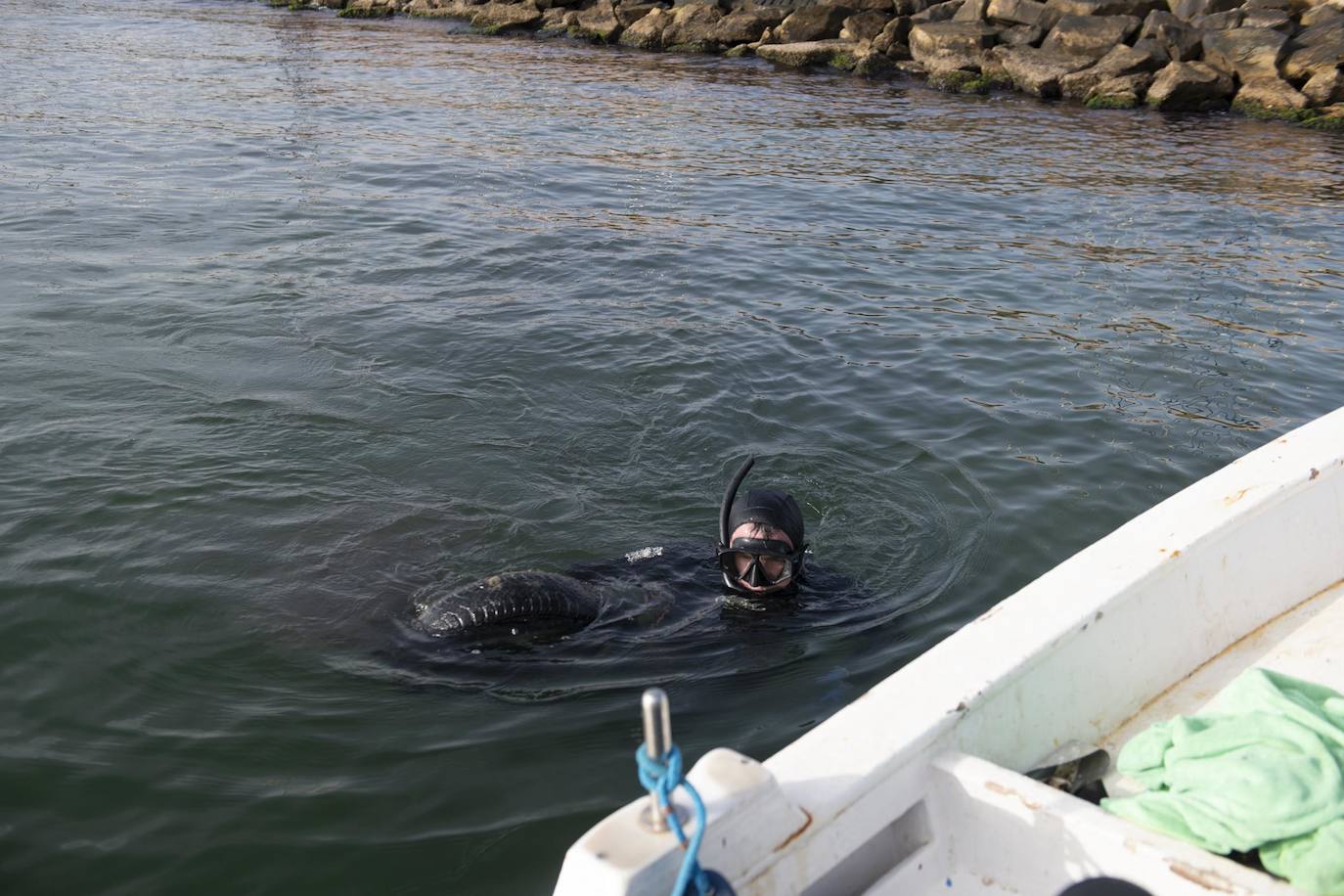 Fotos: Limpieza de residuos en el fondo del Mar Menor