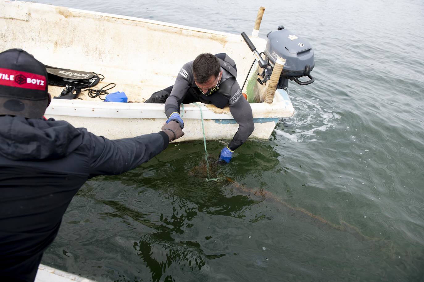 Fotos: Limpieza de residuos en el fondo del Mar Menor