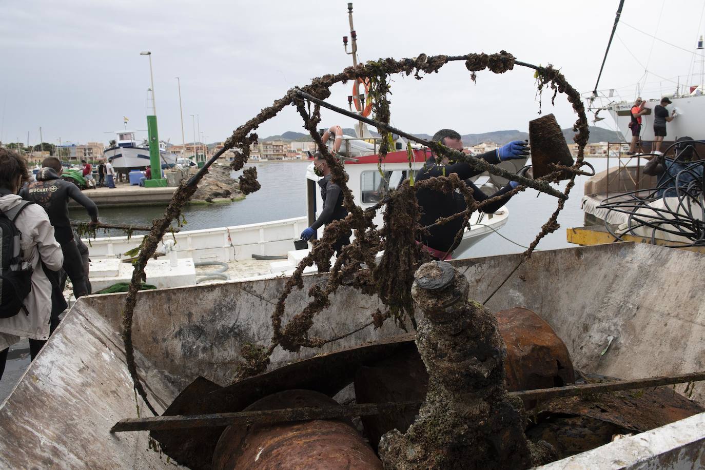 Fotos: Limpieza de residuos en el fondo del Mar Menor