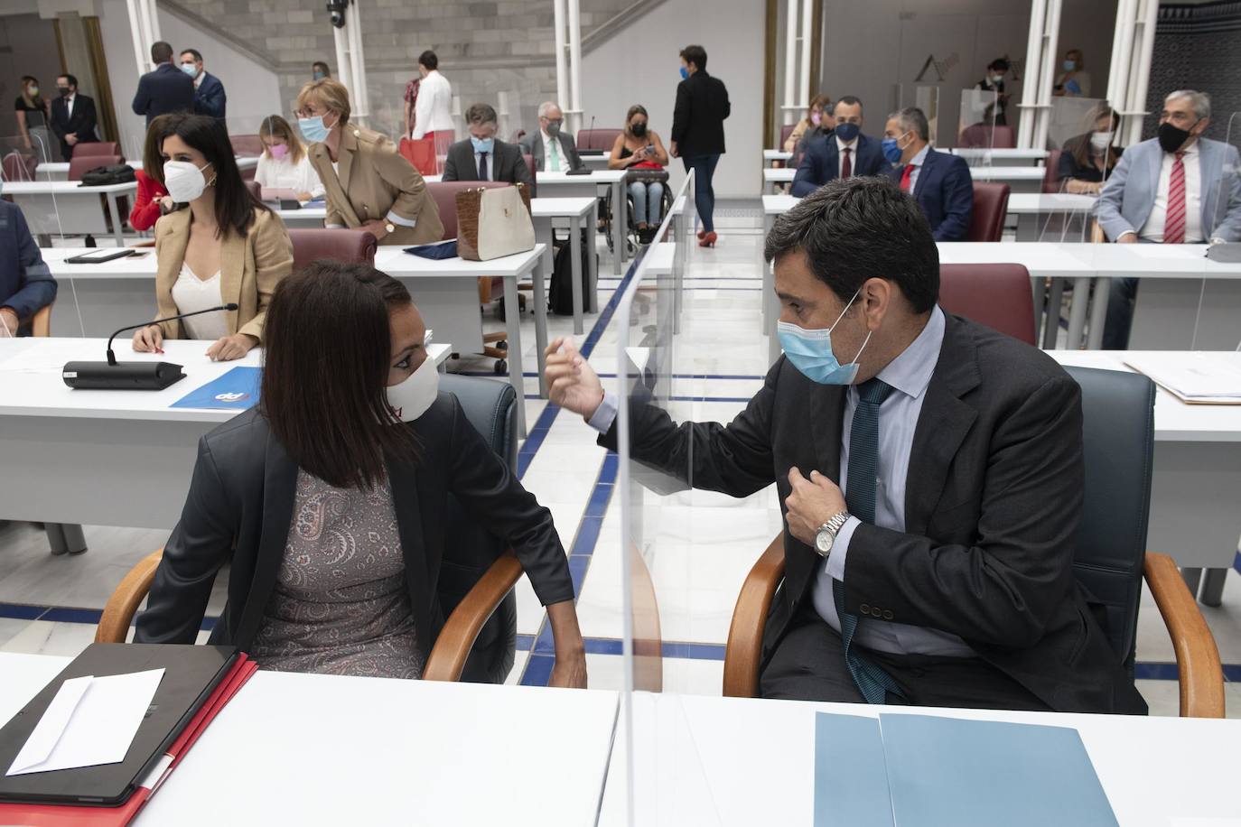 Fotos: La Asamblea aprueba la toma en consideración de la Proposición de Ley de Mecenazgo de la Región de Murcia