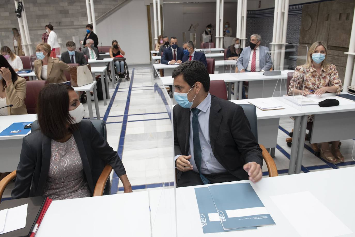 Fotos: La Asamblea aprueba la toma en consideración de la Proposición de Ley de Mecenazgo de la Región de Murcia