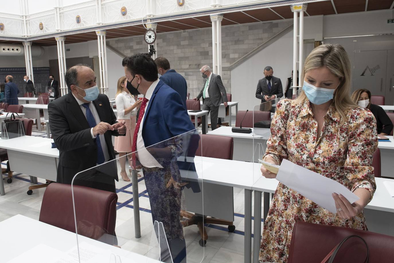 Fotos: La Asamblea aprueba la toma en consideración de la Proposición de Ley de Mecenazgo de la Región de Murcia