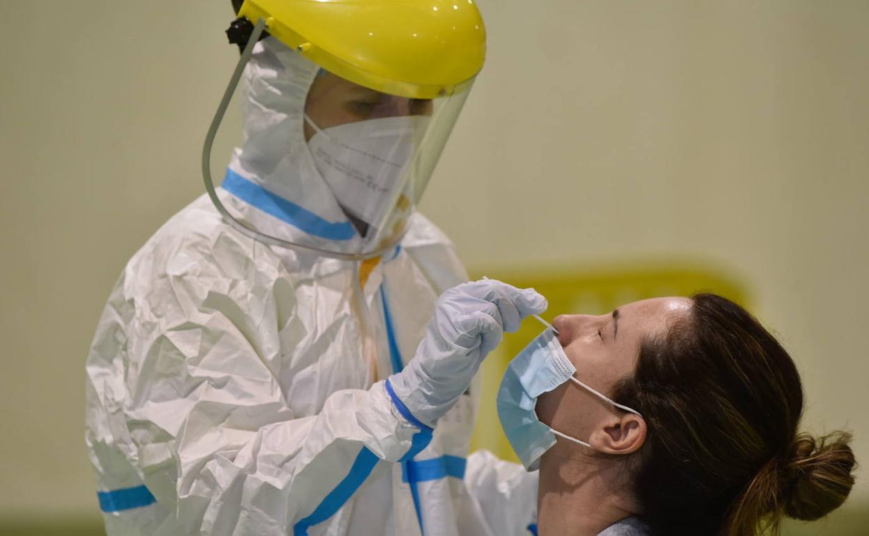 Un sanitario realiza una prueba PCR, en una fotografía de archivo.