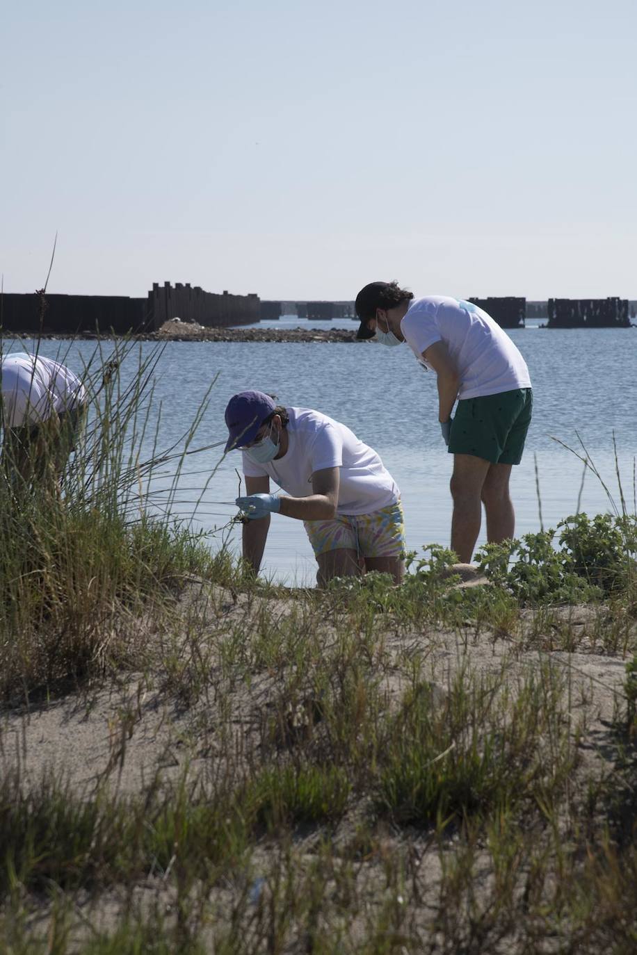 Fotos: Los voluntarios retiran 260 kilos de basura del Estacio