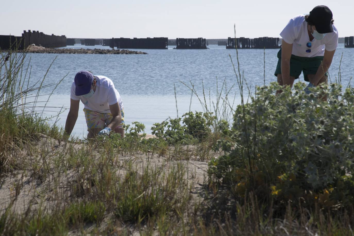 Fotos: Los voluntarios retiran 260 kilos de basura del Estacio
