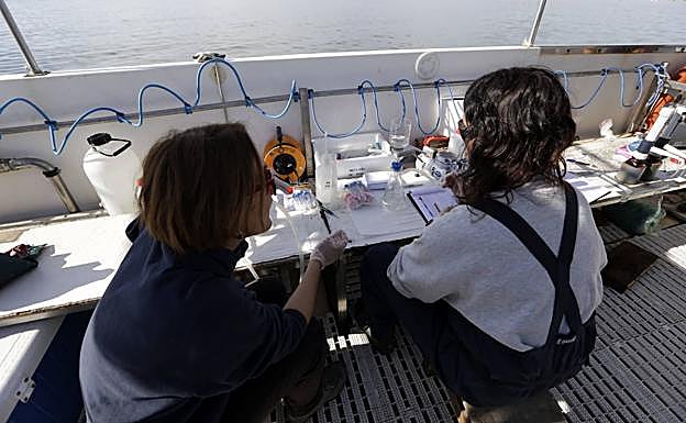 Dos científicas, durante una investigación en el Mar Menor.