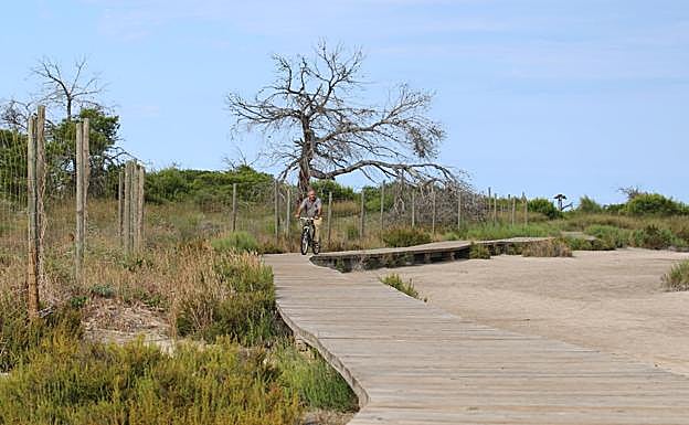 Paisaje del entorno del Parque Regional de las Salinas y Arenales de San Pedro del Pinatar. 