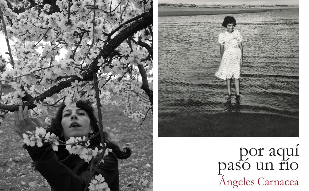 Ondulante, honda corriente