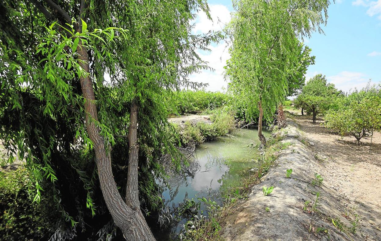 Uno de los pocos tramos a cielo abierto de la acequia Pitarque que la Junta de Hacendados quiere hormigonar. 