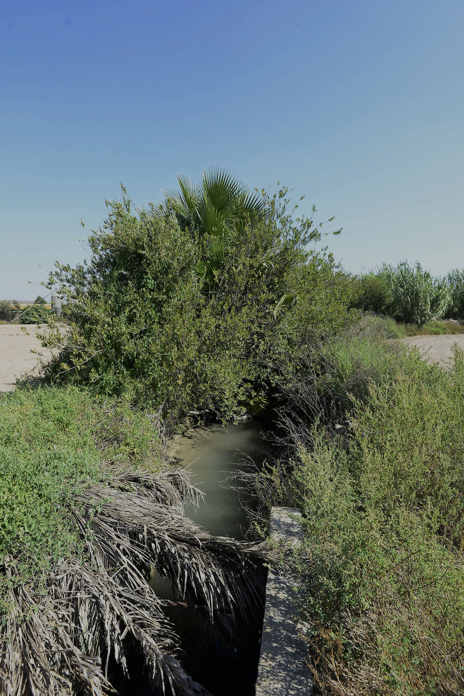 Fotos: Paralizan de forma urgente los trabajos en la acequia Pitarque en Murcia