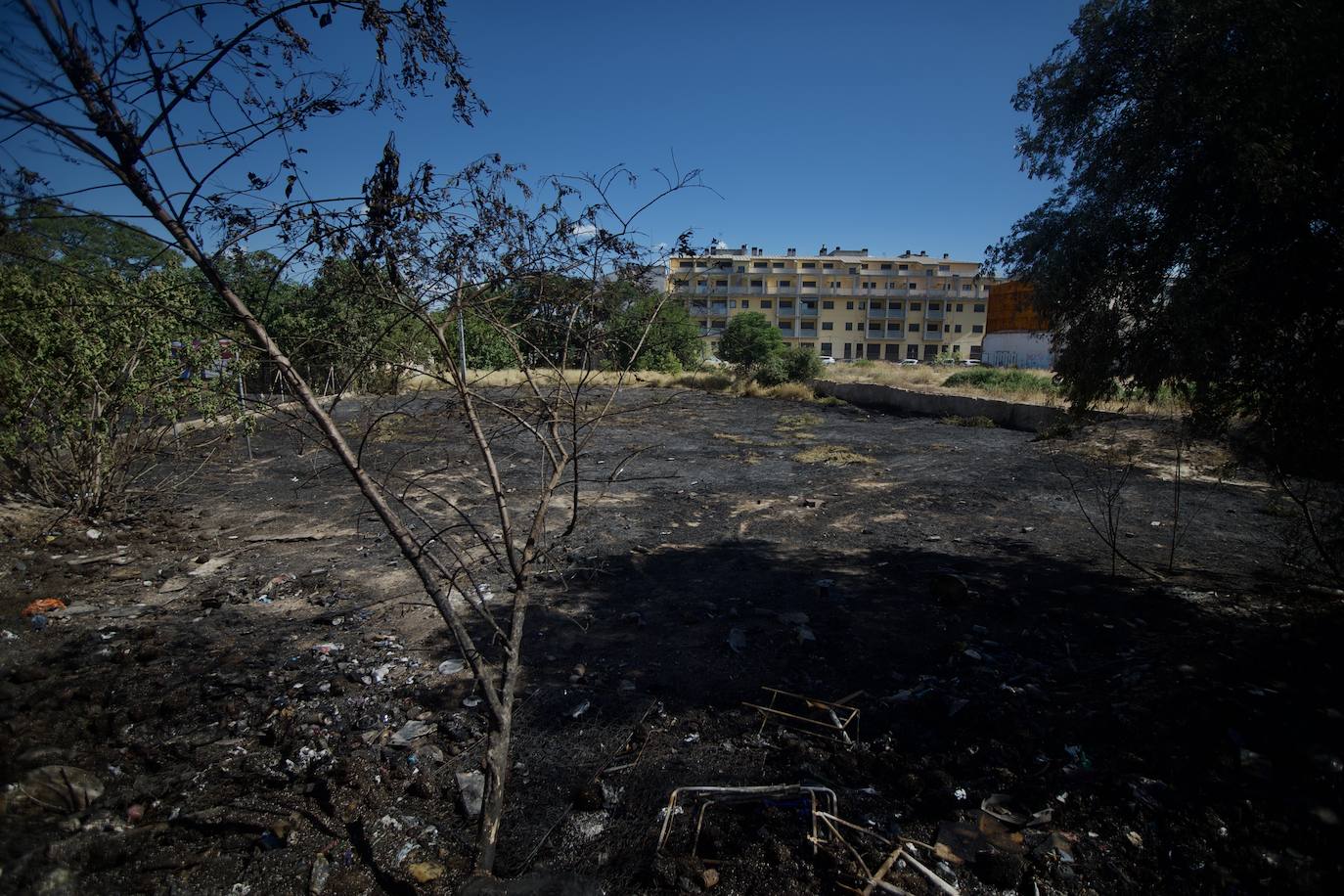 Fotos: Incendio en un huerto abandonado de Barriomar