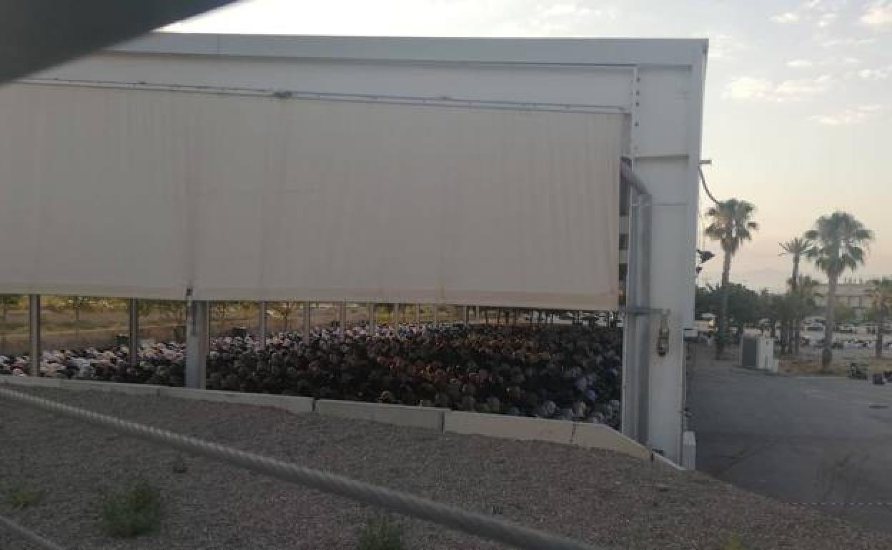 Musulmanes congregados bajo la carpa en el recinto ferial del Huerto de la Rueda de Lorca. 