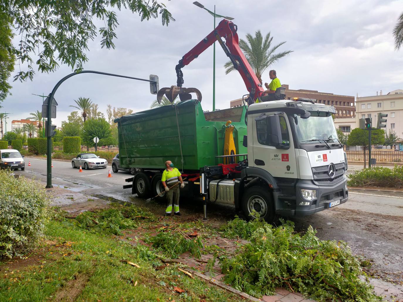 Recogida de una rama caída en Infante Juan Manuel por las fuertes lluvias en Murcia.
