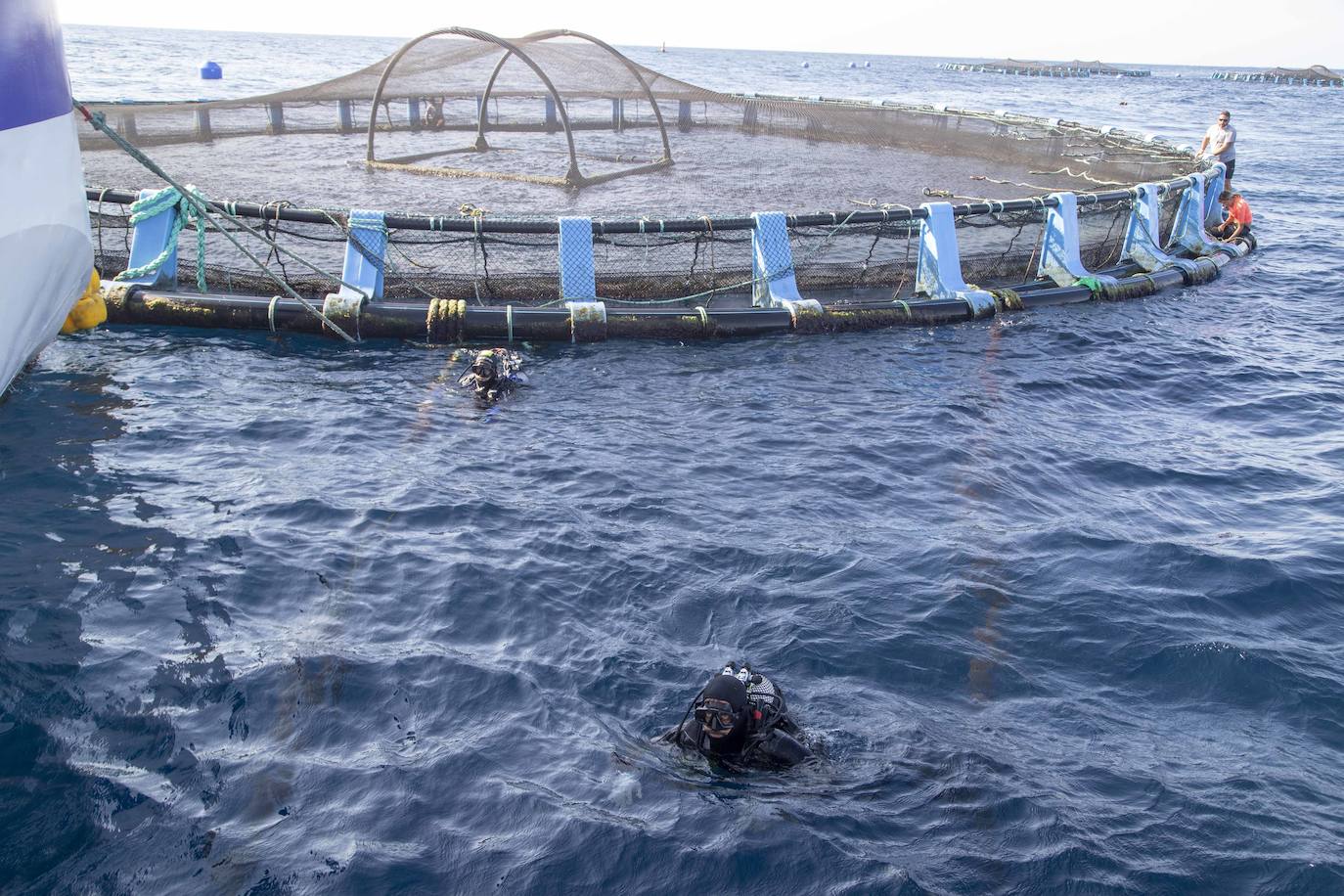 Fotos: Viveros marinos de doradas y lubinas en San Pedro