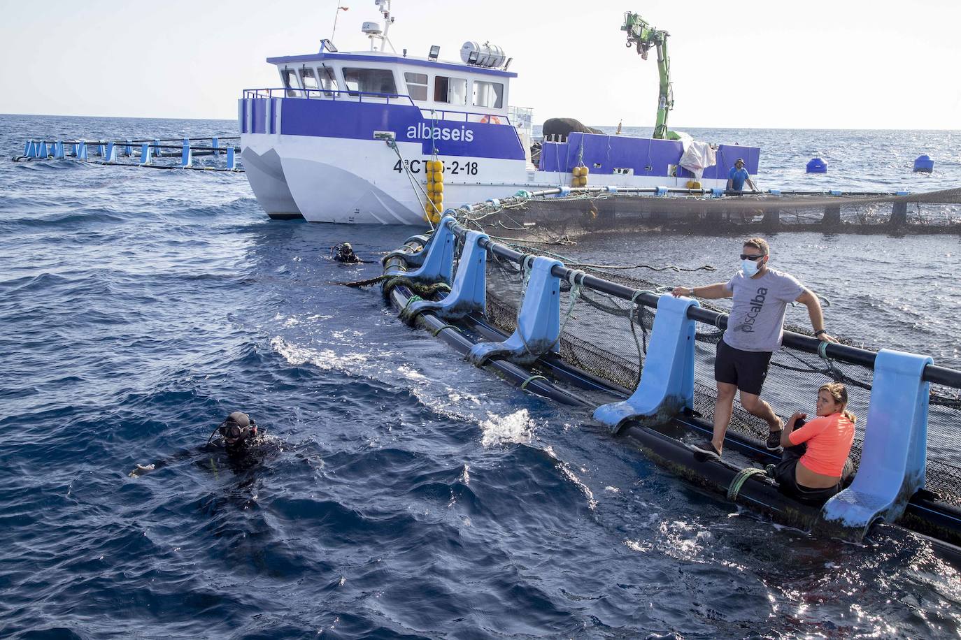 Fotos: Viveros marinos de doradas y lubinas en San Pedro