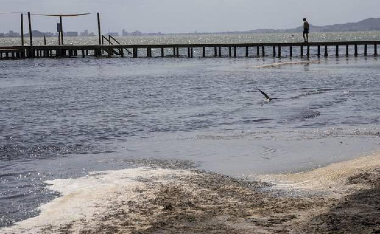 Playa Punta Brava en el Mar Menor, en una imagen de archivo. 