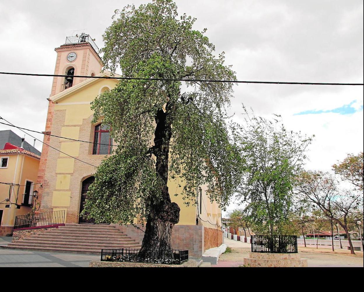Uno de los vecinos más queridos de Albudeite