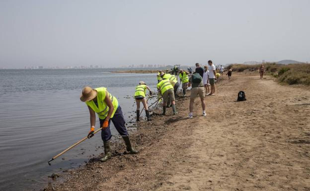 Recogida de los peces que han aparecido muertos. 