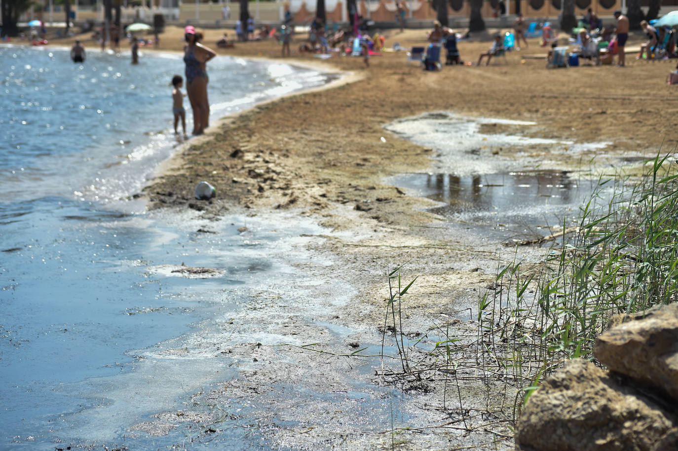 Fotos: Vecinos y turistas, «de luto» por la crisis del Mar Menor