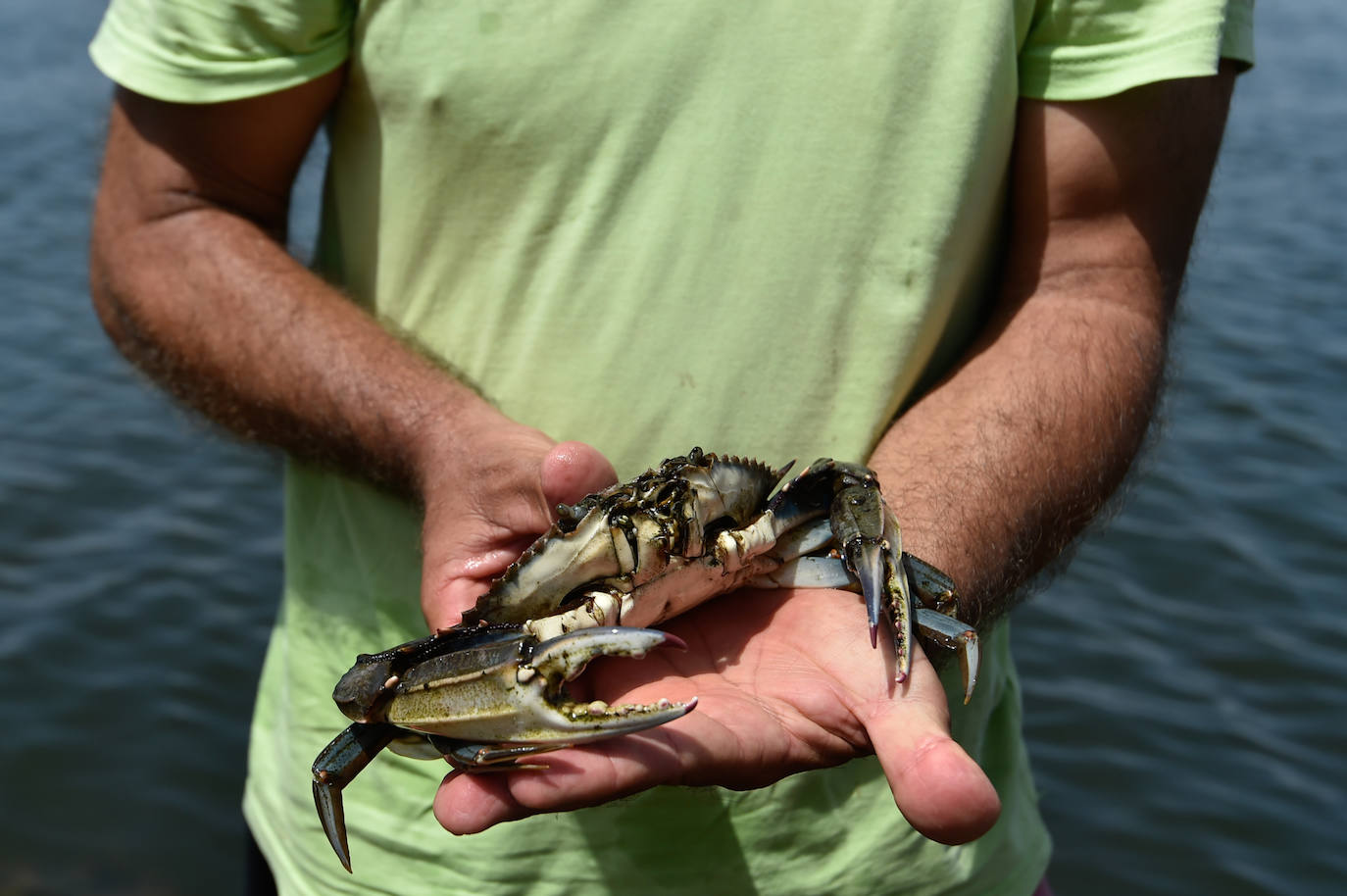 Fotos: Vecinos y turistas, «de luto» por la crisis del Mar Menor