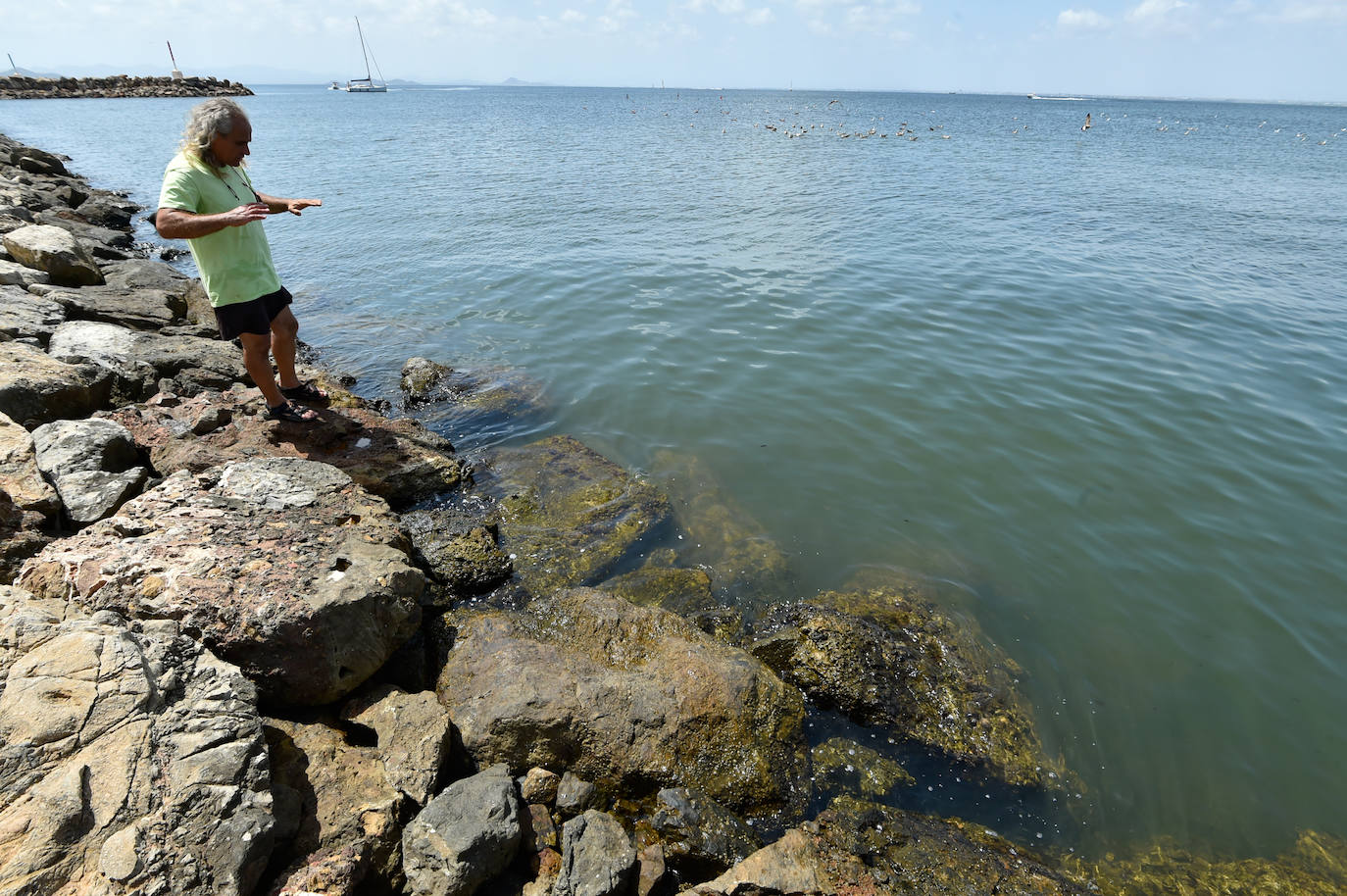 Fotos: Vecinos y turistas, «de luto» por la crisis del Mar Menor