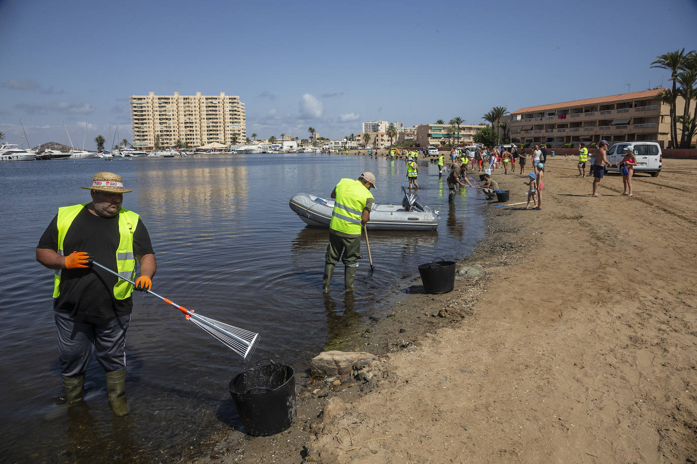 Fotos: Hallan por quinto día consecutivo peces muertos en varias playas de La Manga