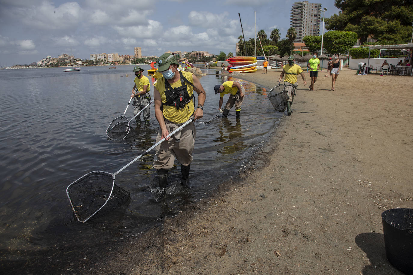 Fotos: Cierran de nuevo las playas cartageneras de La Manga por la aparición de más peces muertos por sexto día en el Mar Menor