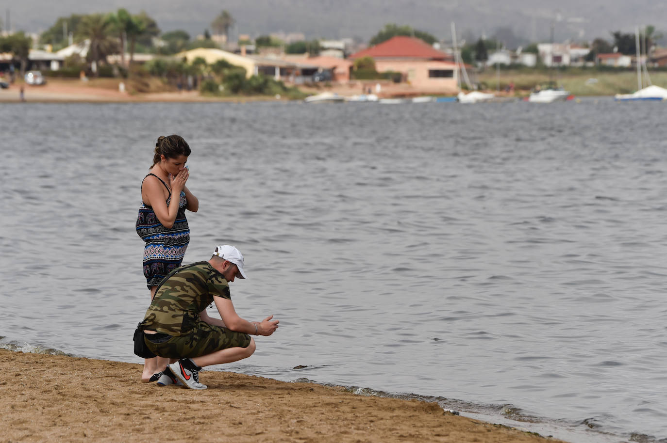 Fotos: Nuevo cierre de playas al cumplirse una semana con peces muertos en el Mar Menor