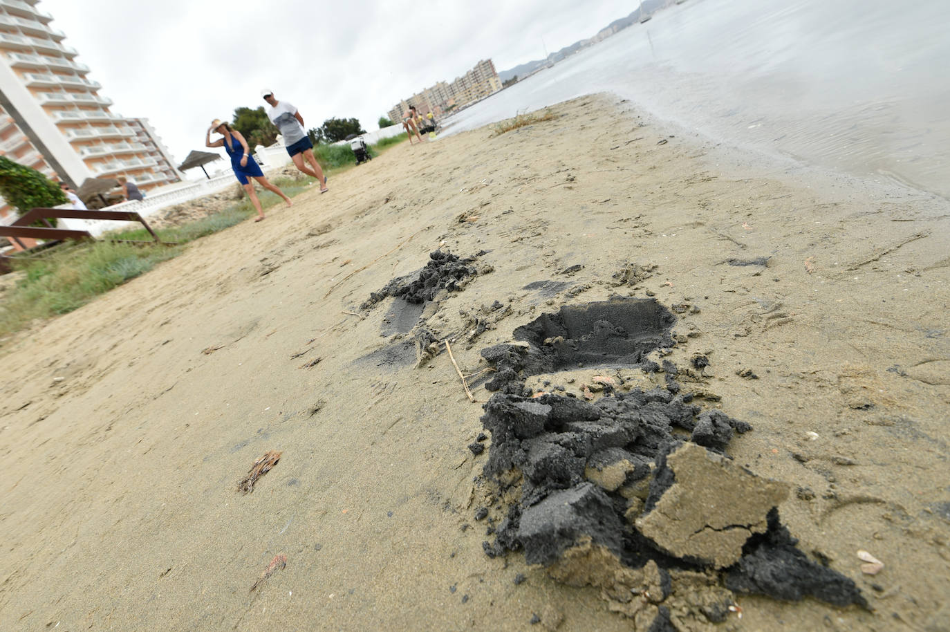 Fotos: Nuevo cierre de playas al cumplirse una semana con peces muertos en el Mar Menor