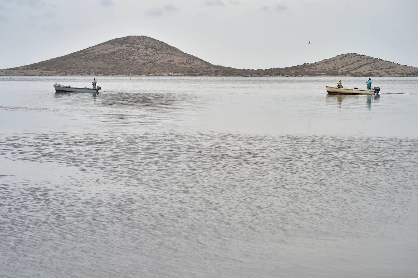 Fotos: Nuevo cierre de playas al cumplirse una semana con peces muertos en el Mar Menor