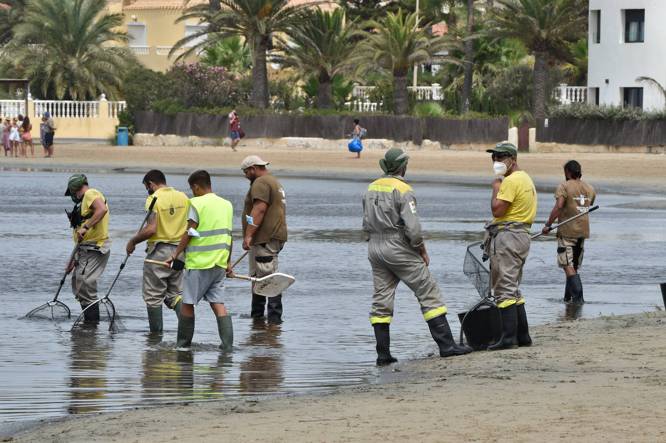 Fotos: Nuevo cierre de playas al cumplirse una semana con peces muertos en el Mar Menor